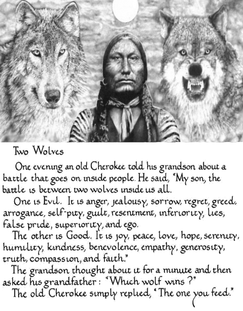 The Story of the Two Wolves The Sketchy Scribe