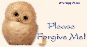 Please-forgive-me-innocent-owl