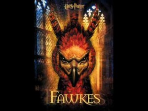 Fawkes