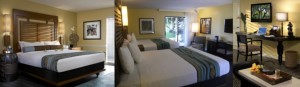 paradise point bedrooms