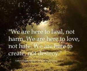 Here to Heal, Not Harm