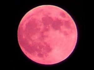 Strawberry Moon