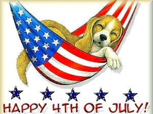funny_4th_of_july_greeting_card