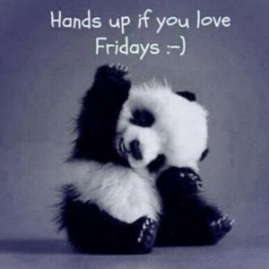 happy-friday-panda